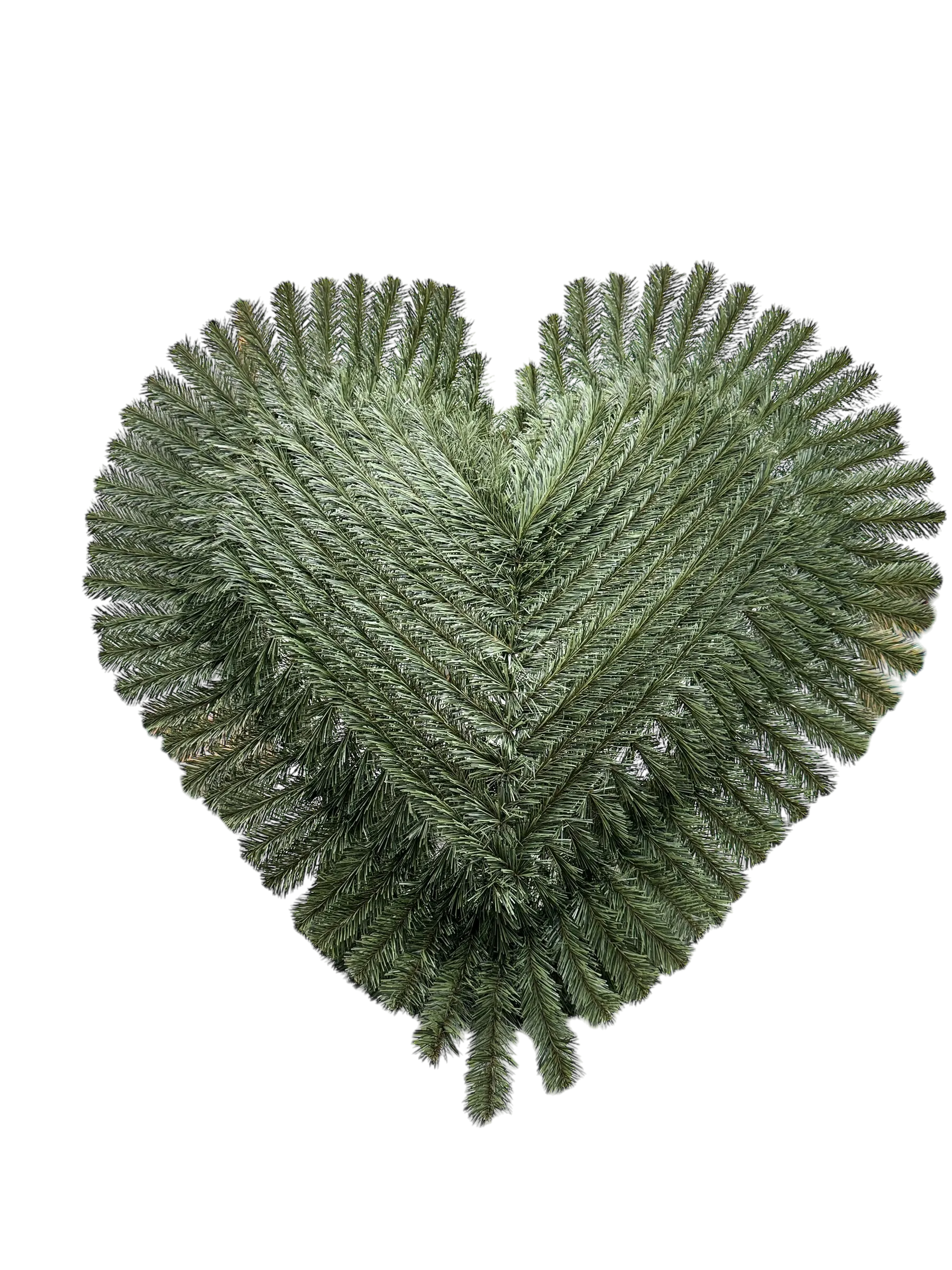 Álló szív óriás